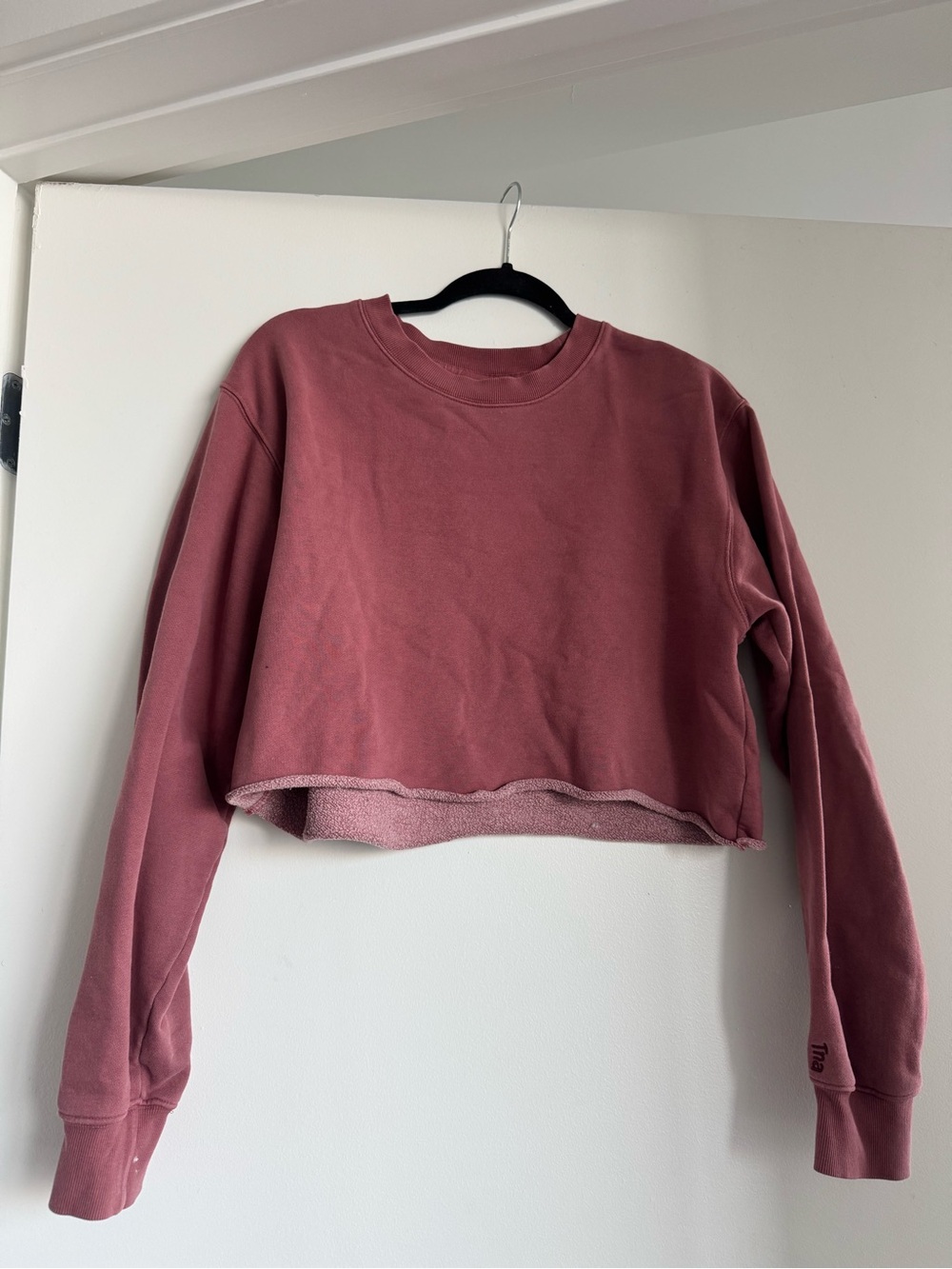 Aritzia Cropped Crewneck Sweatshirt - Mauve